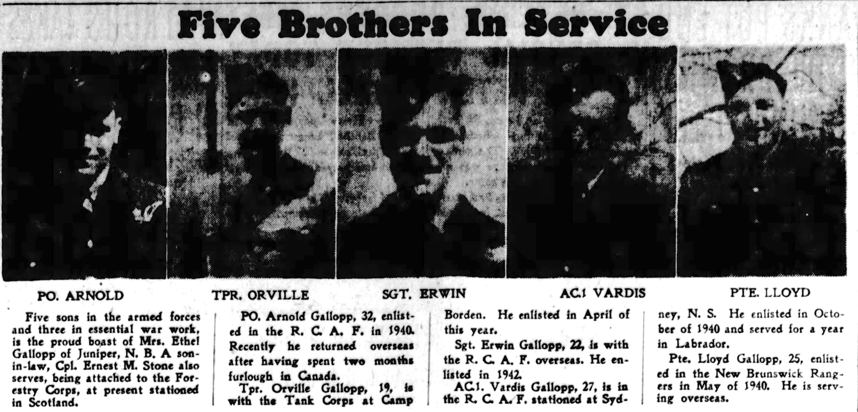 Newspaper clipping